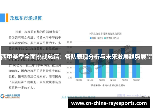 西甲赛季全面挑战总结：各队表现分析与未来发展趋势展望